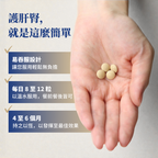 肝腎力